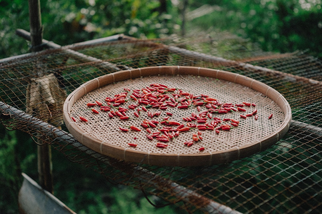 Premium quality dehydrated red chilli and spices — Khodiyar Enterprise production facility